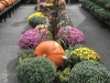 holiday-fall4
