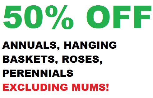 Find Coupons and Offers to Save Money on Nursery and Garden Center