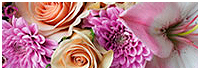 Flowers by Westminster