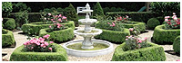 Landscape Design