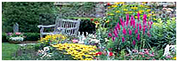 Westminster Nursery